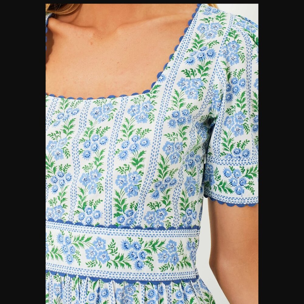 Pink City Prints Cotswolds Border Evelyn Dress, Size XL - Picture 3 of 6